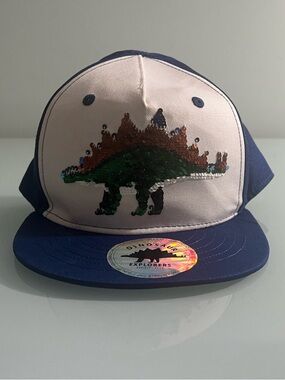 H&M Boys Snapbank Reversible Sequins Stegosaurus Dinosaur Explorers US 3-4Y